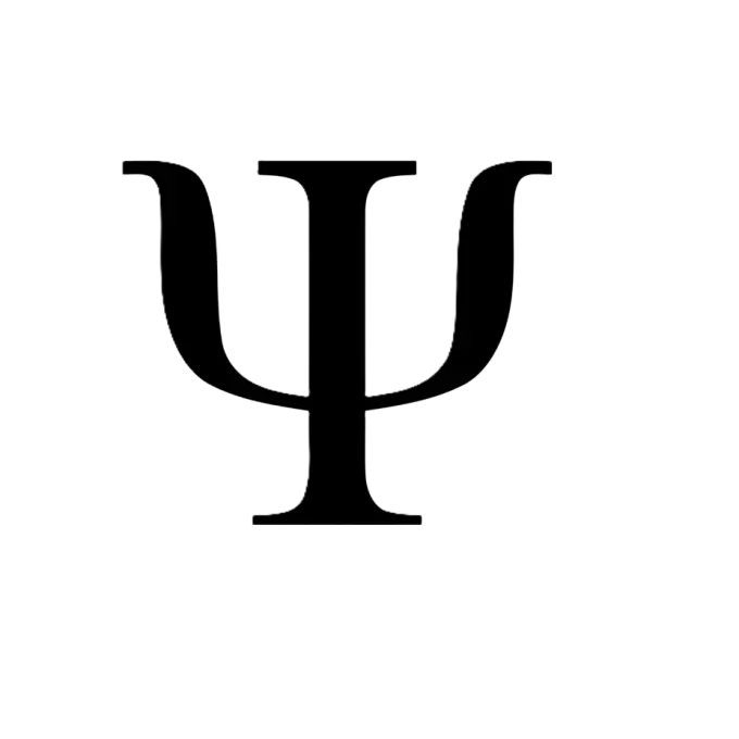 Psicólogo Joubert Karpeggiane - Elementos de Autoridade